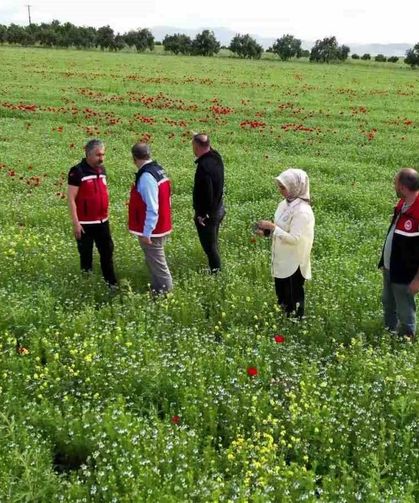 Çiftçiler, kuraklık ve zirai dona dayanıklı ürünlere yöneldi