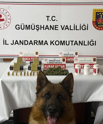 Gümüşhane'de yasaklı madde operasyonu