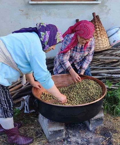 Karadeniz'de dut pekmezi mesaisi başladı: Kazanlar şifa için kaynıyor