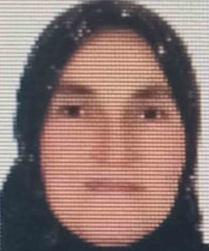 Ordu'da ineğin teptiği kadın hayatını kaybetti