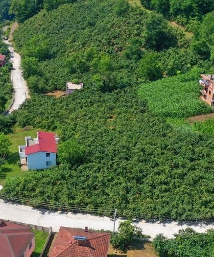 Çaybaşı'nda grup yolu betonla buluşturuluyor