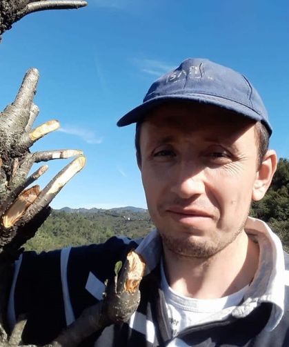 Ordu'da ağaç keserken düşen kişi hayatını kaybetti