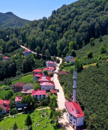 Ordu'nun kırsalında beton yol çalışmaları