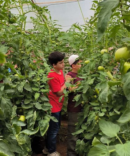 Anader Kadın Kolları’ndan Gençleri Toprakla Buluşturan Anlamlı Proje