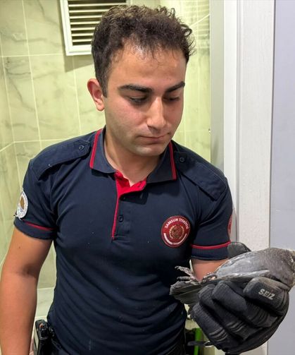 Apartman boşluğuna düşen yavru güvercini itfaiye kurtardı