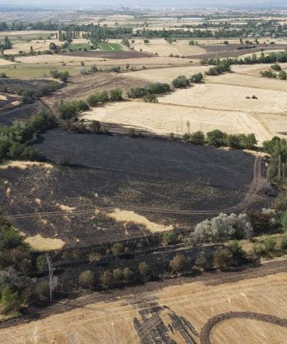 Erzincan'daki yangının bilançosu drone ile görüntülendi