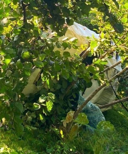 Giresun'da kamyonet fındık bahçesine devrildi: 1 ölü