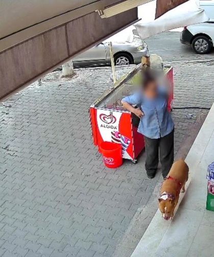 Yine Bir Pitbull Faciası: 5 çocuk annesi kadının parmağı koptu