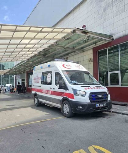 Ordu'da mantardan zehirlenen yaşlı çift hastaneye kaldırıldı