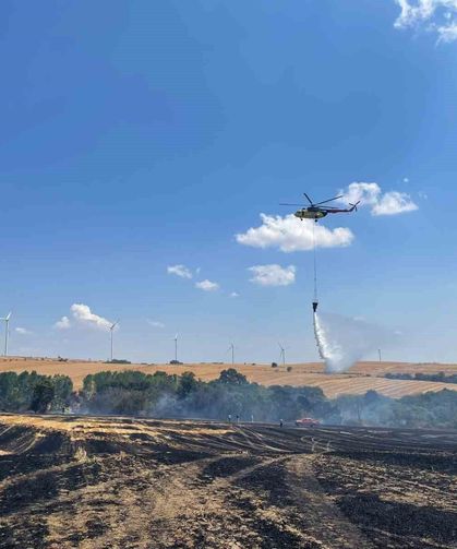 Orman ve anız yangını havadan ve karadan müdahaleyle söndürüldü