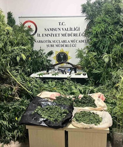 Polis havadan iz sürdü: Tütünlerin arasında 502 kök kenevir ele geçti