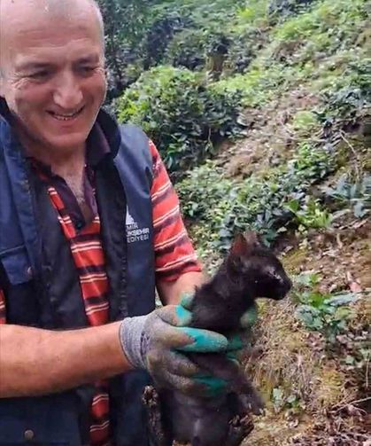 Rize'de 4 gündür boru içinde sıkışan kediyi çay üreticileri kurtardı