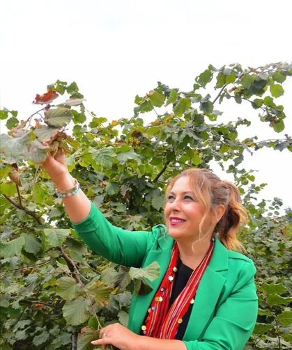 Elvan Işık Gezmiş’ten Fındık Fiyatına Sert Tepki: “Üretici Yok Sayıldı”