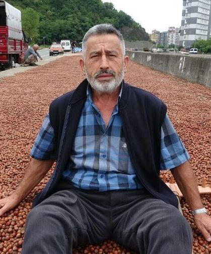 Giresun’da üretici TMO’ya yöneldi: Fındıkta fiyat farkı etkili oldu