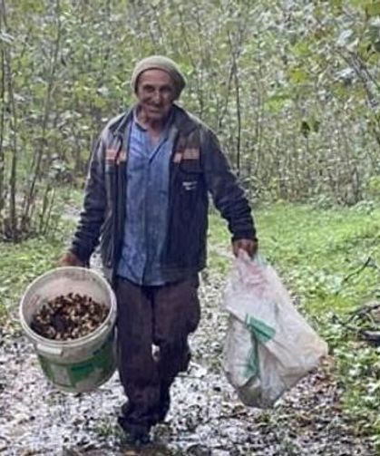 Artvin’den Fındık İçin 300 TL Çağrısı: TMO’ya Üreticiyi Geri Çevirmeyin Mesajı