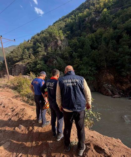 Artvin'de araç dereye düştü: 1 yaralı