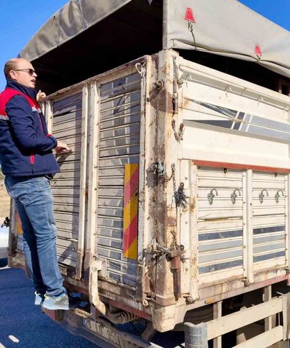 Canlı hayvan nakline yönelik denetimler sürüyor