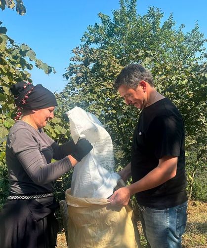 MHP'li Konal'dan Fındık Fiyatlarına Tepki! "Bu Bir Ayıptır"