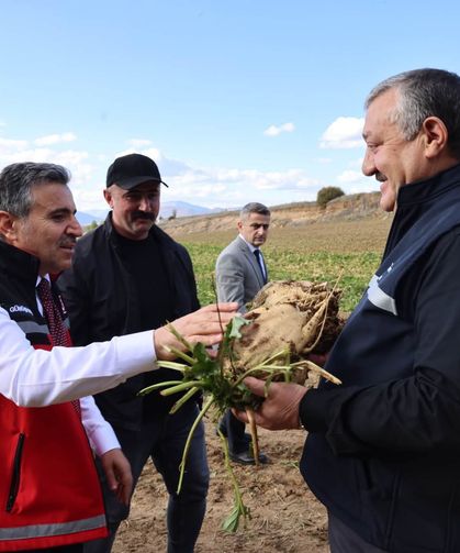Kelkit'te Tarım Hamlesi! Vali Ve Başkan Hasada Katıldı