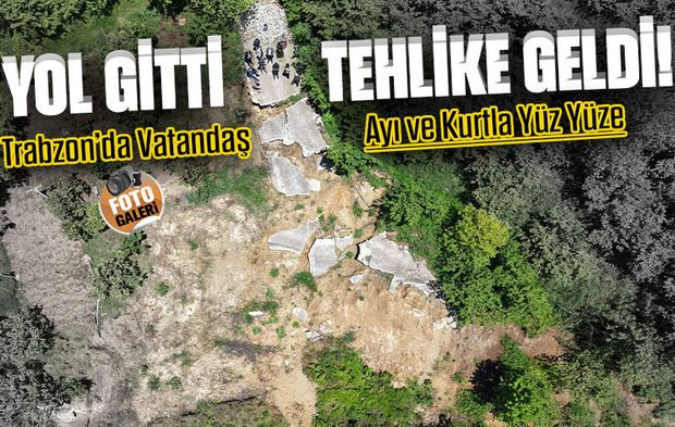 Heyelanın Ardından Vahşi Hayvan Korkusu: Trabzon'un Bu İlçesinde Yol Mağduriyeti 8 Aydır Sürüyor