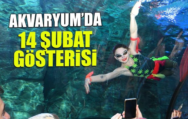 Akvaryum'da Su Balesi Heyecanı! Minikler Hayran Kaldı