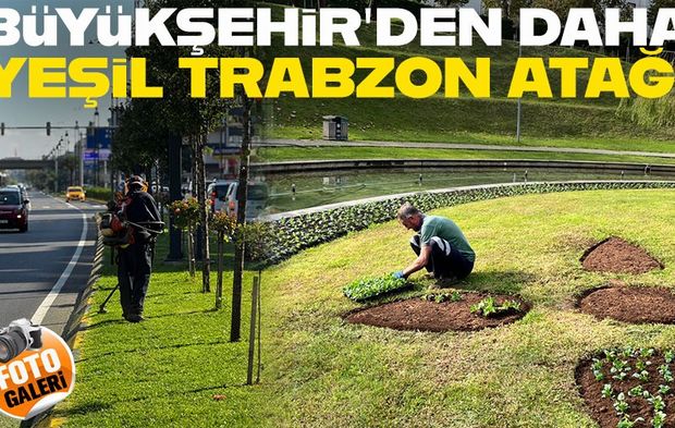 Trabzon Büyükşehir Belediyesi 2025’te 1,6 Milyon Çiçekle Kenti Yeşile Boyadı