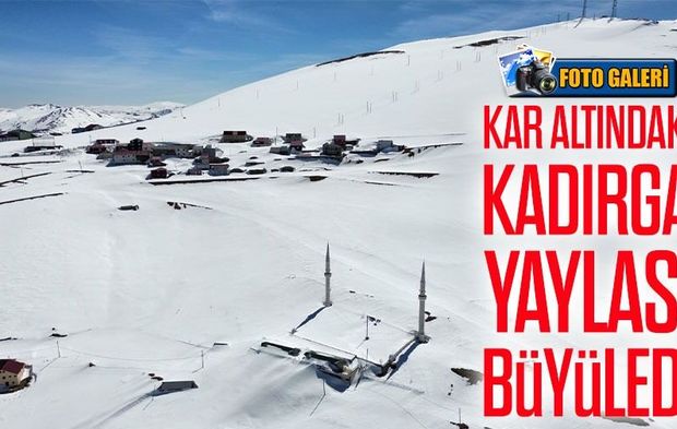 Trabzon-Gümüşhane sınırındaki Kadırga Yaylası’ndan kartpostallık görüntüler