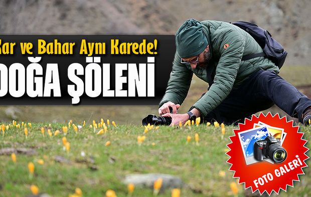 Kar ve Bahar Aynı Karede! Gümüşhane’de Doğa Şöleni Başladı