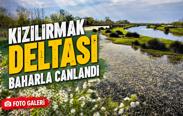 Kızılırmak Deltası baharla canlandı: Doğa şöleni başladı