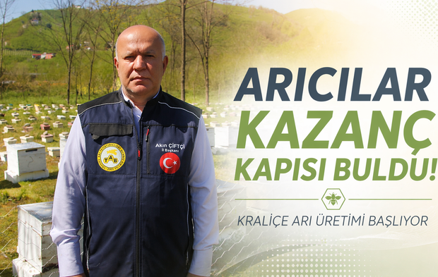 Ordu’da kraliçe arı üretimi başlıyor, arıcılar kazanç kapısı buldu