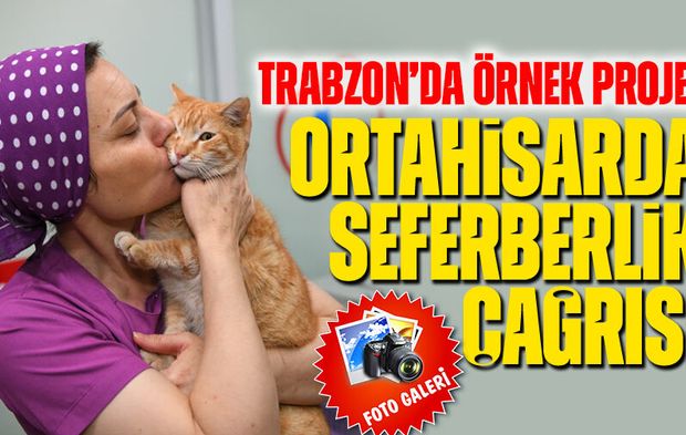 Trabzon’da Örnek Proje! Sokak Hayvanları İçin Seferberlik Çağrısı