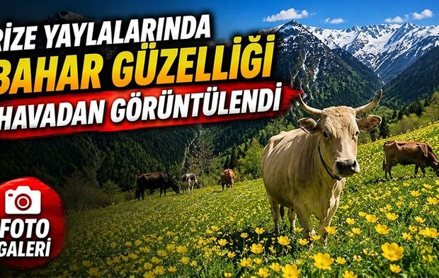 Rize Yaylalarında Bahar Güzelliği Havadan Görüntülendi; Doğa Yeniden Canlandı