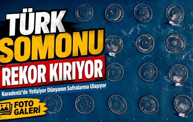 Karadeniz’de Yetişiyor Dünyanın Sofralarına Ulaşıyor! Türk Somonu Rekor Kırıyor