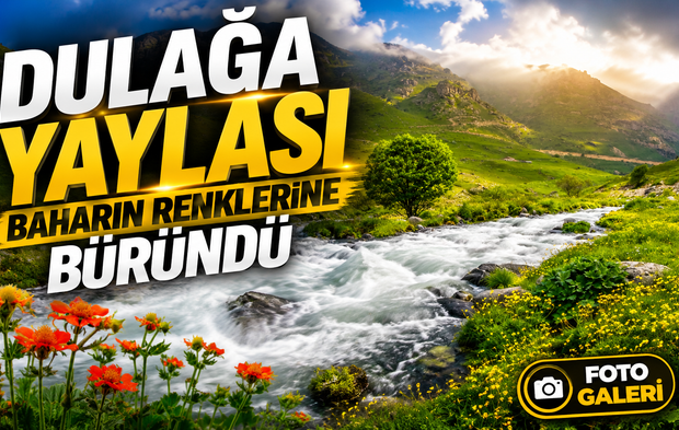 Gümüşhane’nin Torul İlçesindeki Dulağa Yaylası Çiçeklerle Kaplandı, Ziyaretçilerini Büyüledi