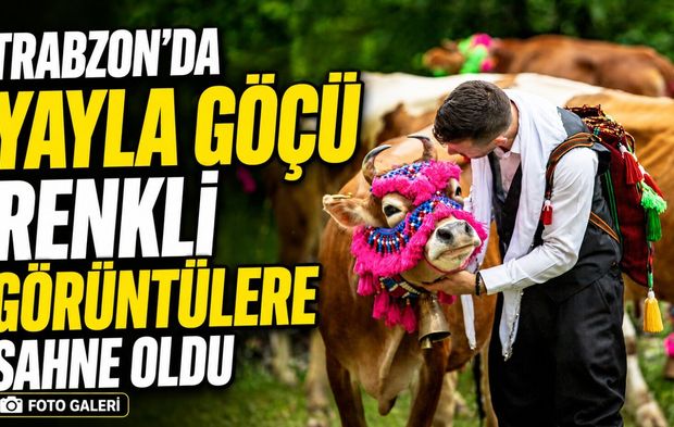 Trabzon’da Yayla Yolları Horonla Şenlendi: Büyükbaş Hayvanlarla Göç Başladı