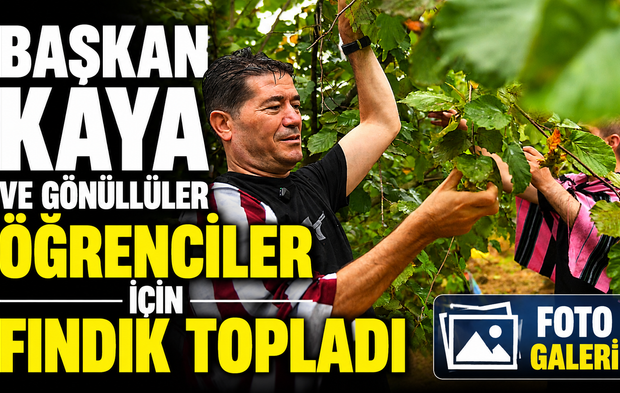 Başkan Kaya ve Gönüllüler Öğrenciler İçin Fındık Topladı