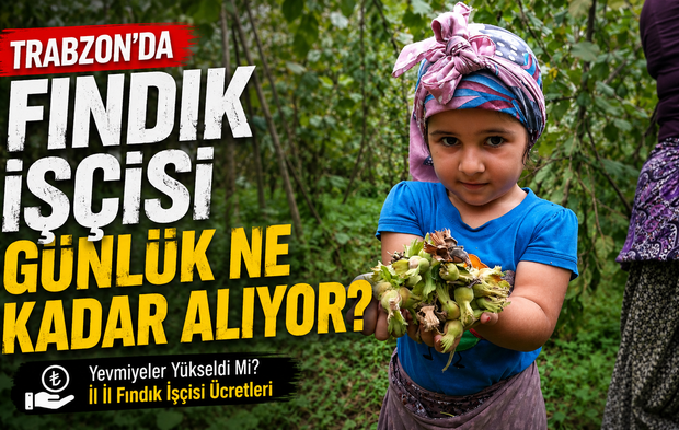 Trabzon’da Fındık Yevmiyesi Ne Kadar? İşte İl İl Fındık Yevmiye Fiyatları...
