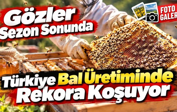 Türkiye Bal Üretiminde Rekora Koşuyor: Gözler Sezon Sonunda