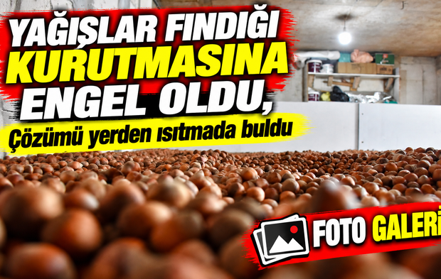 Karadenizli Üretici Yağışlar fındığı kurutmasına engel oldu, çözümü yerden ısıtmada buldu