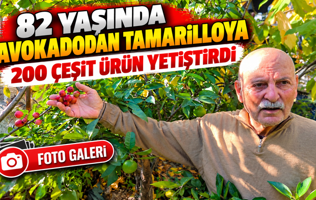 Samsun'da Herkesi Şaşırtan Bahçe!; 82 Yaşında Avokadodan Tamarilloya 200 Çeşit Ürün Yetiştirdi