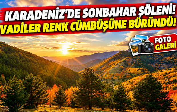 Gümüşhane'de Sonbahar Şöleni! Vadiler Renk Cümbüşüne Büründü