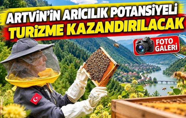 Artvin’in Arıcılık Potansiyeli Turizme Kazandırılacak: Yeni Rotalar Belirleniyor