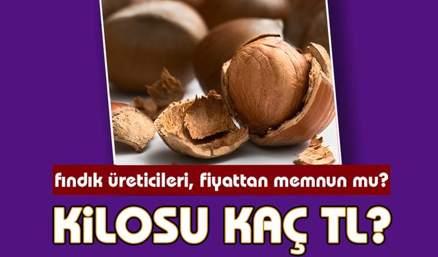 Güncel Fındık Fiyatları Açıklandı: Hangi İl’de Daha Pahalıya Satılıyor?