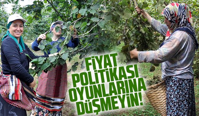 Fındık Fiyatları Ne Kadar? Fındığın Kilosu Kaç TL? İl İl Fiyat Tablosu Açıklandı