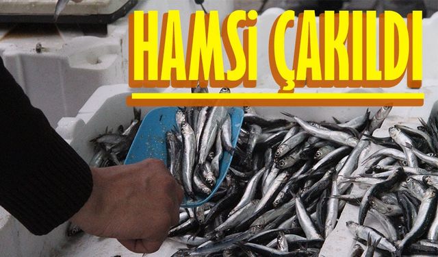 Trabzon'da hamsinin fiyatı yerle bir oldu
