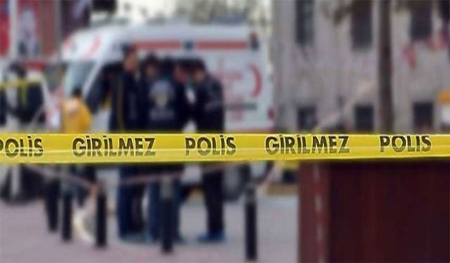 Gümüşhane’de hafif ticari aracın çarptığı 81 yaşındaki kadın öldü