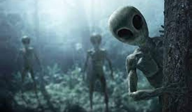 Uzaylılar gerçek mi oluyor ? Harvard astronomi profesörü Avi Loeb UFO aracına dair metalik parçalar bulduğunu iddia etti