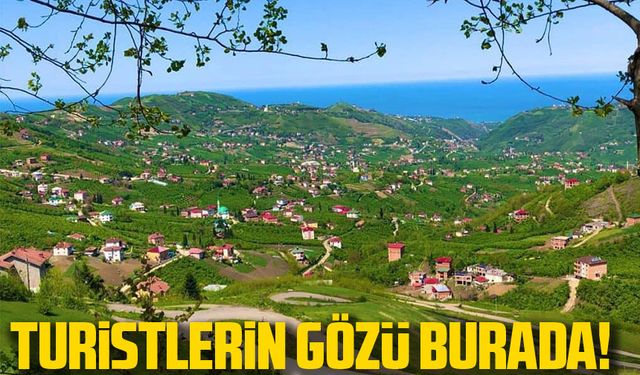Turistlerin Trabzon'daki Gözdesi Aygören Vadisi