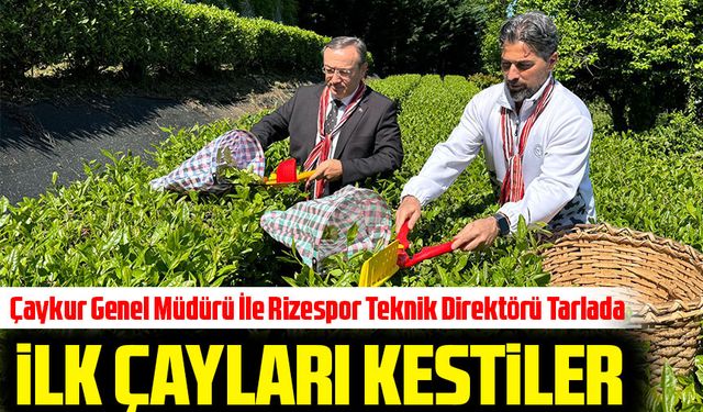 ÇAYKUR Genel Müdürü Yusuf  Ziya Alim ve Rizespor Teknik Direktörü İlhan Palut, İlk Çay Hasadını Gerçekleştirdi