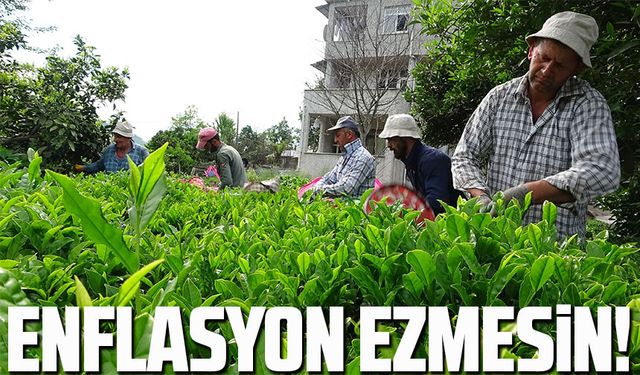 DEVA Partili Hasan Karal'dan Yaş Çay Fiyatı Açıklaması: "205 Bin Çay Üreticisinin Alın Teri Enflasyona Ezdirilmemeli"